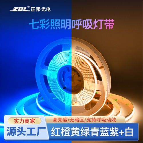 COB RGBCW (3000K+6000K) 六合一840燈每米氛圍照明兩用DC24V