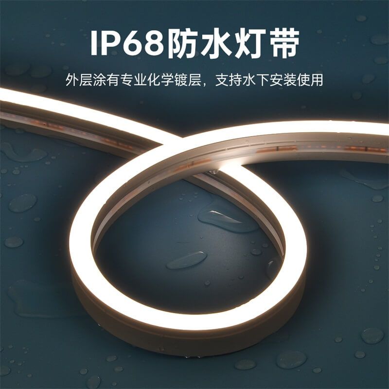 IP68防水燈帶泳池戶外專(zhuān)屬一體注塑成型工藝低壓霓虹燈帶20x12 側(cè)發(fā)光 - 5