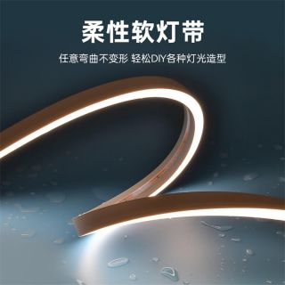 IP68防水燈帶泳池戶外專(zhuān)屬一體注塑成型工藝低壓霓虹燈帶20x12 側(cè)發(fā)光 - 2