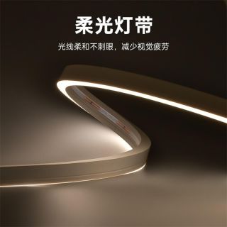 IP68防水燈帶泳池戶外專(zhuān)屬一體注塑成型工藝低壓霓虹燈帶20x12 側(cè)發(fā)光 - 3